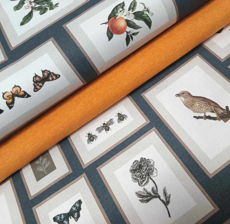 FAUNA A FLÓRA V RÁMIKOCH NA POŤAHOVKE