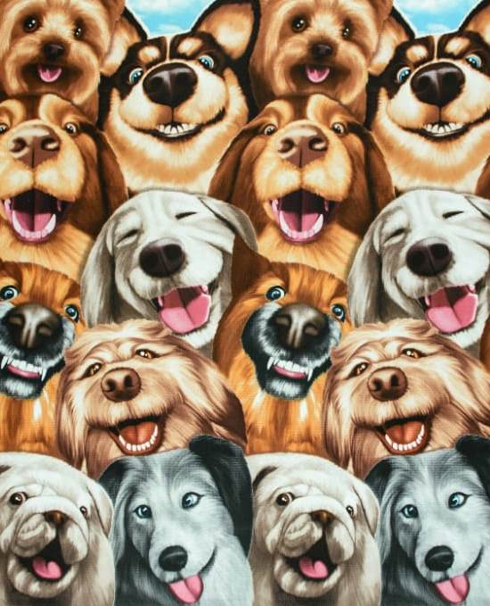 WAFFLE NA UTIERKY A OSUŠKY- CRAZY DOGS