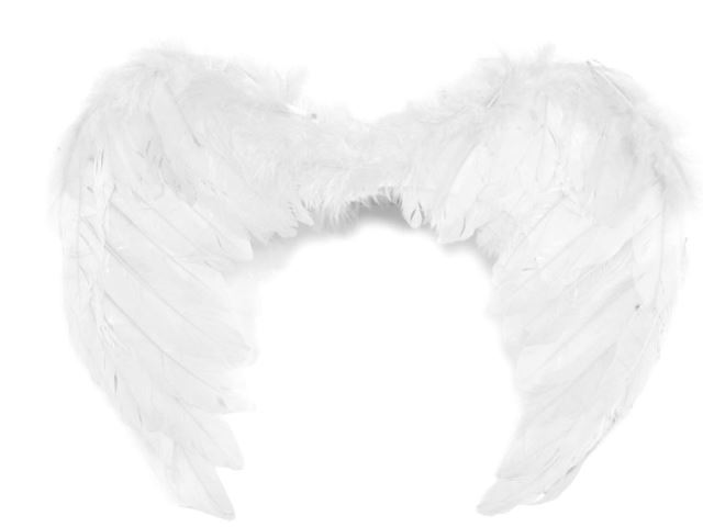 Anjelské krídla 35x45 cm - 1 ks