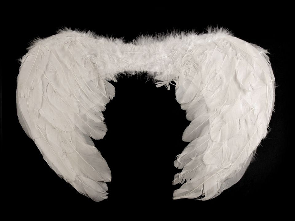 Anjelské krídla 30x40 cm - 1 ks