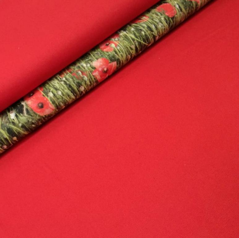 ČERVENÁ POŤAHOVKA CANVAS