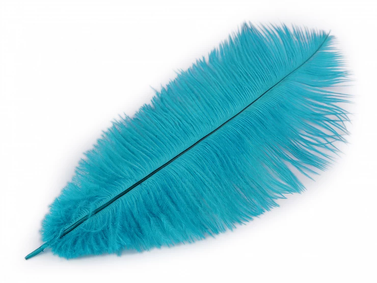 Pštrosie perie dĺžka cca 20-25 cm - 2ks